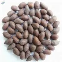 Raw Cotton Seeds  