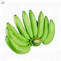 Fresh Green Banana