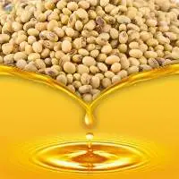 Soybean Oil