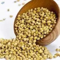 Coriander Seeds  