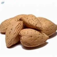 High Quality Macadamia Nuts 