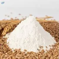 Bread Flour (Type 550)