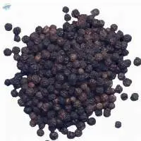 Black Pepper 