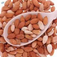 High Quality Walnut Kernels