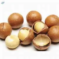Macadamia Nuts High Quality