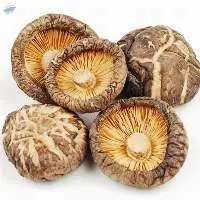 Dried Shiitake Mushroom