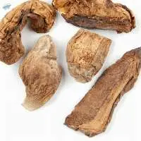 High Quality Dried Morel Mushroom