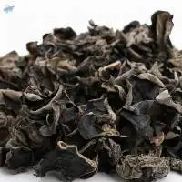 Black Morel Mushroom  