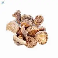 Dried Mushroom  