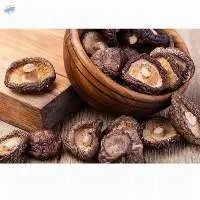 High Quality Dried Morel Wild Mushroom