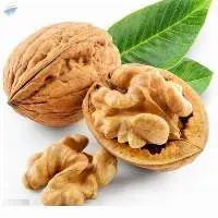 Dried In Shell Walnut
