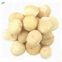 Macadamia Nuts  