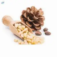 Pine Nuts