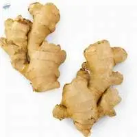 High Quality Fresh Ginger