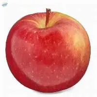 High Quality Fuji Apples