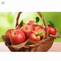 Royal Gala Apples 