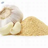garlic powder mesh  For Sale