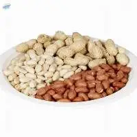 Java Peanut Kernels For Sale