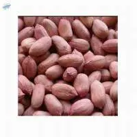 Bulk Buy Bold Peanut Kernels