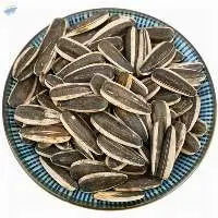 High Quality sunflower seeds jumbo