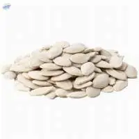 Snow white pumpkin seeds For Sale