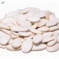 Wholesale Price Shine skin pumpkin seeds