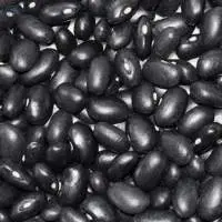 Black Kidney Beans