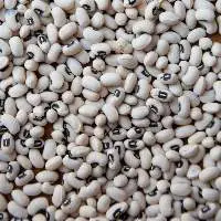 High Quality Black Eyed Beans