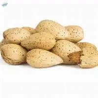 Almond Nuts