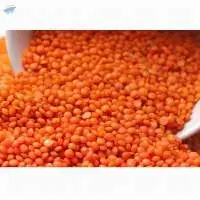 High Quality Red Lentils