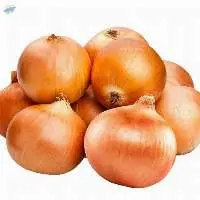 Fresh Red Onion  