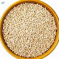 White Sorghum