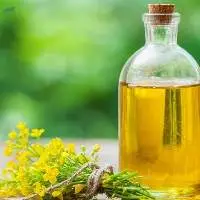 Vegetable Canola Oil