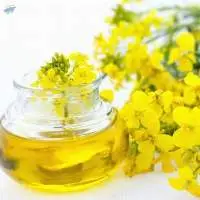 Refined Rapeseed Oil 