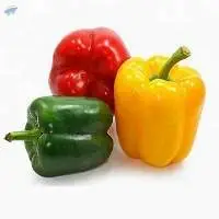 Fresh Capsicum  