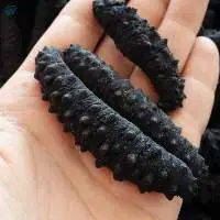 Dried Sea Cucumber 
