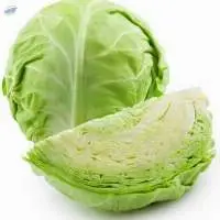 Fresh Green Cabbage  