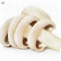 Fresh And White Frozen Mushroom  