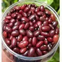 High Quality Red Kidney Bean