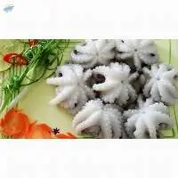 Frozen Octopus