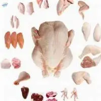 Frozen Whole Chicken