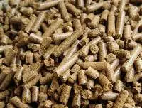 Animal Feed (Livestock Feed)