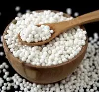 Sago Seeds