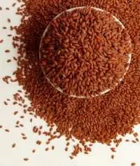 Asolio Seeds