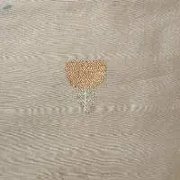 Chiniya Silk