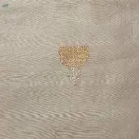 Chiniya Silk
