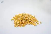 Popcorn Seeds