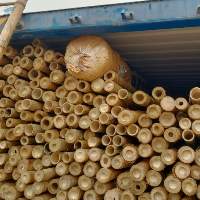 Bamboo Poles