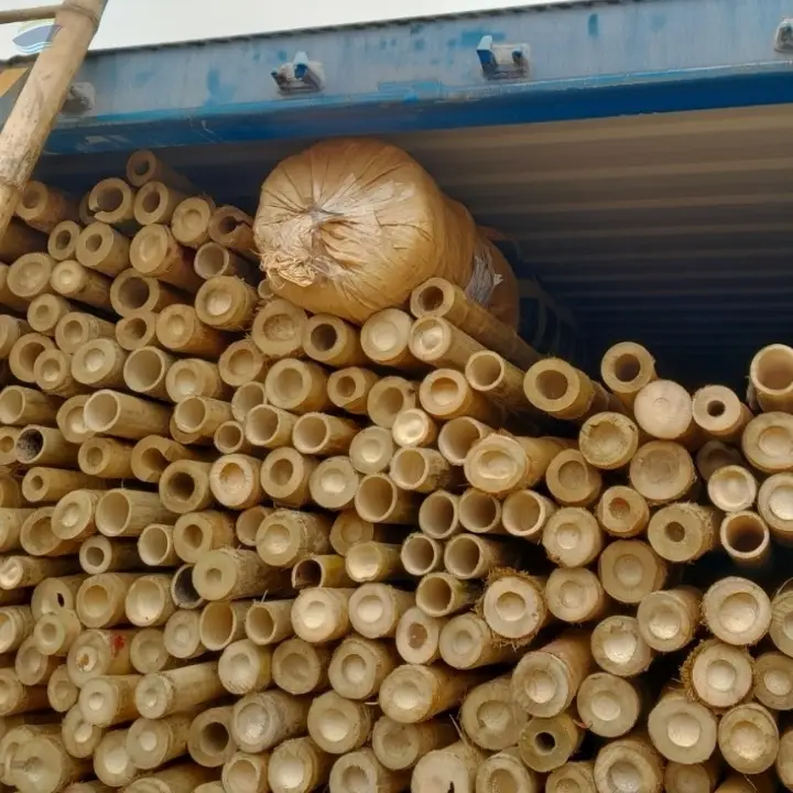 Bamboo Poles