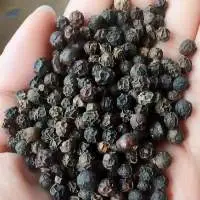 Black Pepper